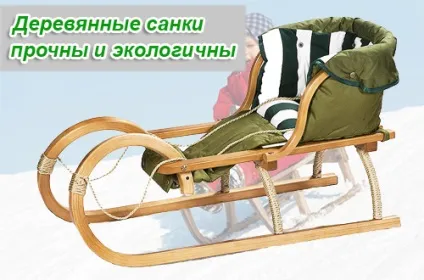 Катання на санках - корисний відпочинок з сім'єю - рух - життя (відпочинок) Катання на санках - корисний відпочинок з сім'єю - рух - життя