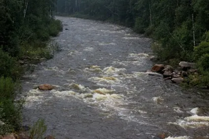 До чого сниться вода брудна, чиста, каламутна, прозора (вода) До чого сниться вода брудна, чиста, каламутна, прозора