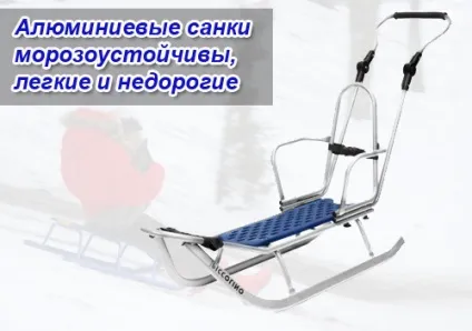 Катання на санках - корисний відпочинок з сім'єю - рух - життя (санках) Катання на санках - корисний відпочинок з сім'єю - рух - життя