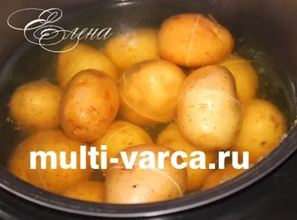 Картопля в мундирі в мультиварці 1 (картопля) Картопля в мундирі в мультиварці 1