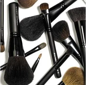 Кисті для макіяжу sephora з серії professionnel - відгуки, фото і ціна