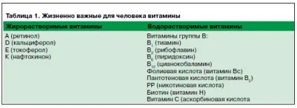 Київський вітамінний завод
