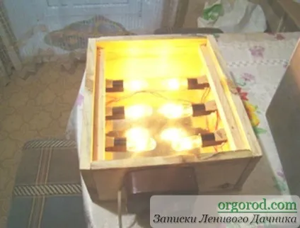 Кільчеватор, органічне землеробство (винограду домашніх умовах) Кільчеватор, органічне землеробство