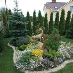 Клумба безперервного цвітіння з багаторічників і однорічників своїми руками схеми і фото (клумба) Клумба безперервного цвітіння з багаторічників і однорічників своїми руками схеми і фото