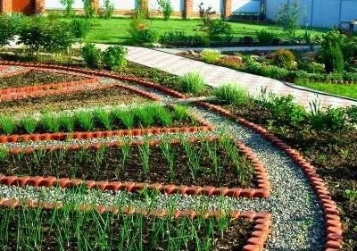 Клумба-аптечка на дачній ділянці як вирощувати лікувальні трави