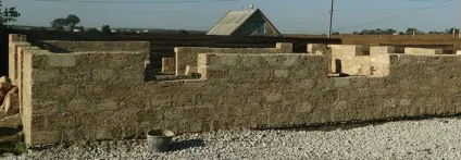Кладка черепашки і черепашнику