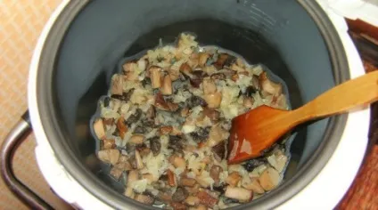 Класичний різотто з м'ясом і овочами, з куркою і грибами (класичний) Класичний різотто з м'ясом і овочами, з куркою і грибами