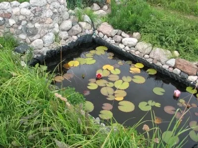 Коли і як будувати ставок, біля будинку