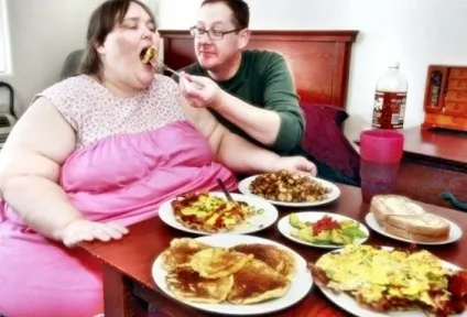 Коли тебе відгодовують фідери і фіди (фідери) Коли тебе відгодовують фідери і фіди
