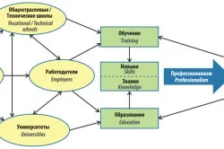 Компетенції персоналу що таке компетенції, і на які рівні вони поділяються (відео) (перший по персоналу) Компетенції персоналу що таке компетенції, і на які рівні вони поділяються (відео)