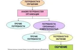 Компетенції персоналу що таке компетенції, і на які рівні вони поділяються (відео) (які) Компетенції персоналу що таке компетенції, і на які рівні вони поділяються (відео)