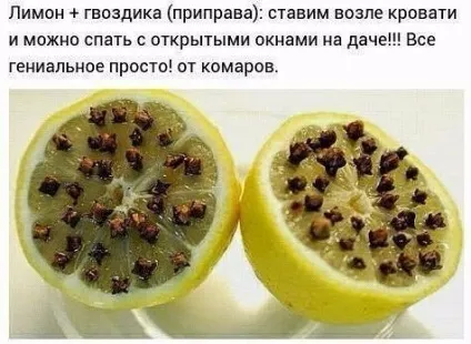 Комар, його - прічіндал - і як з ним боротися без хімії (комар) Комар, його - прічіндал - і як з ним боротися без хімії