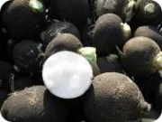 Народне лікування гаймориту чорною редькою (редькою) Народне лікування гаймориту чорною редькою