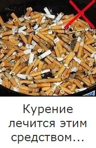Народні повір'я, пов'язані з котами - корисні поради () Народні повір'я, пов'язані з котами - корисні поради