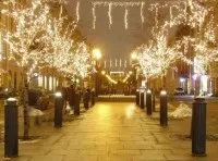 Зовнішнє освітлення архітектурно-художнє освітлення і декоративне освітлення, електроас - (декоративне) Зовнішнє освітлення архітектурно-художнє освітлення і декоративне освітлення, електроас -