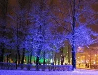 Зовнішнє освітлення архітектурно-художнє освітлення і декоративне освітлення, електроас - (декоративне) Зовнішнє освітлення архітектурно-художнє освітлення і декоративне освітлення, електроас -