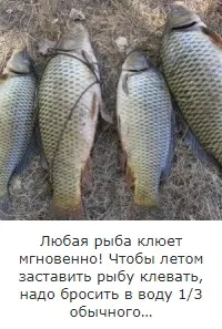 Народні повір'я, пов'язані з котами - корисні поради () Народні повір'я, пов'язані з котами - корисні поради