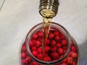 Наливка з глоду в домашніх умовах (умовах) Наливка з глоду в домашніх умовах