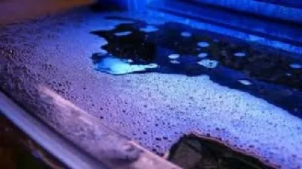 На поверхні води з'явилася піна, що робити домашній акваріум