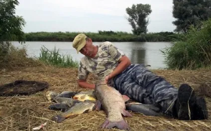 Початок жора у різних видів риб після нересту, майстер-Фішер (початок) Початок жора у різних видів риб після нересту, майстер-фишер
