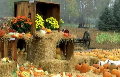 Народний календар на вересень місяць (день Семена летопроводца) Народний календар на вересень місяць