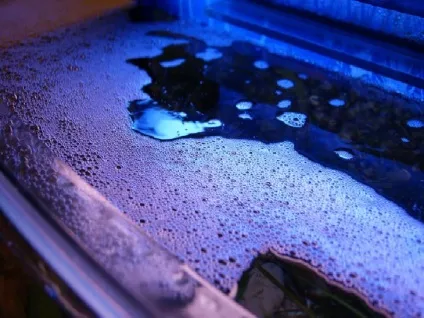 На поверхні води з'явилася піна, що робити домашній акваріум