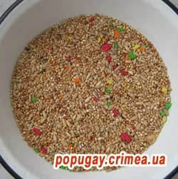 Корм для папуг