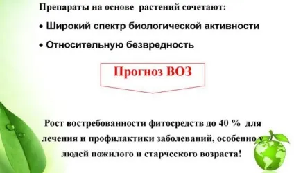 Корінь білої перстачу - застосування і лікування щитовидної залози Ендонормом, травами (білої) Корінь білої перстачу - застосування і лікування щитовидної залози Ендонормом, травами
