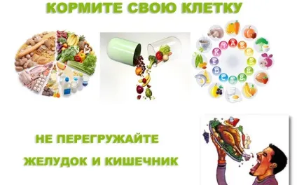 Годуємо клітку, ваше здоров'я у ваших руках () Годуємо клітку, ваше здоров'я у ваших руках