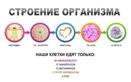 Годуємо клітку, ваше здоров'я у ваших руках () Годуємо клітку, ваше здоров'я у ваших руках