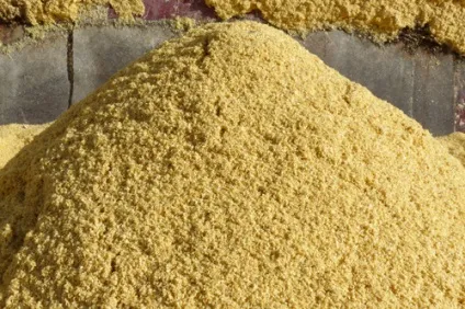 Кормова кукурудза чим відрізняється від харчової посів, вирощування (посів) Кормова кукурудза чим відрізняється від харчової посів, вирощування