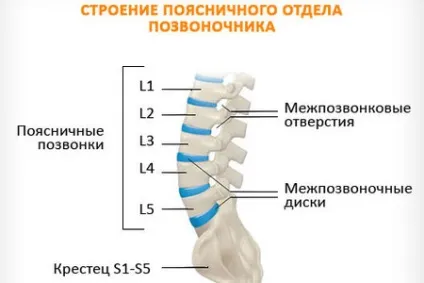 Корінцевий синдром поперекового відділу симптоми лікування