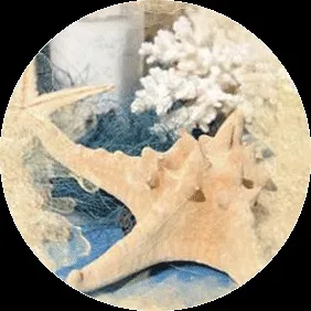 Косметика моря