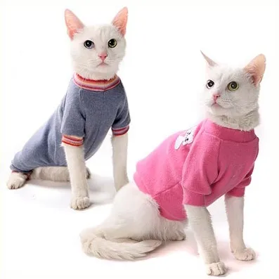 котяча одяг