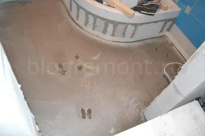 Котячі сліди в стягуванні