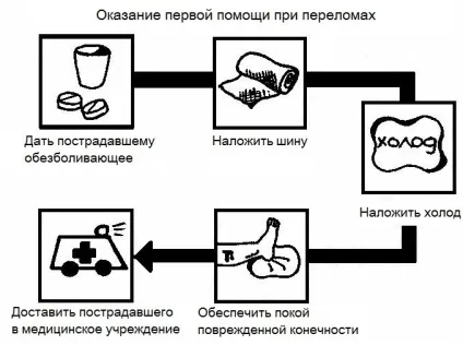 Кістки після перелому скільки зростаються і як - живи здорово (скільки) Кістки після перелому скільки зростаються і як - живи здорово