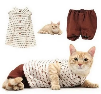 котяча одяг