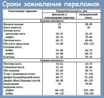Кістки після перелому скільки зростаються і як - живи здорово (після) Кістки після перелому скільки зростаються і як - живи здорово