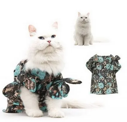 котяча одяг