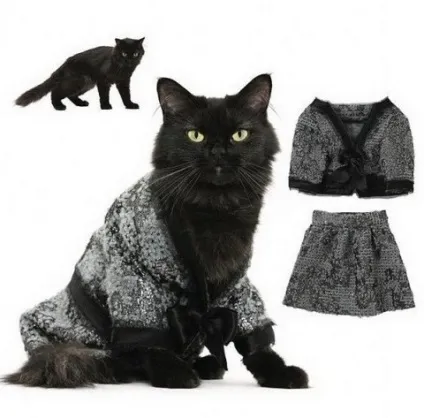 котяча одяг