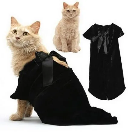 котяча одяг