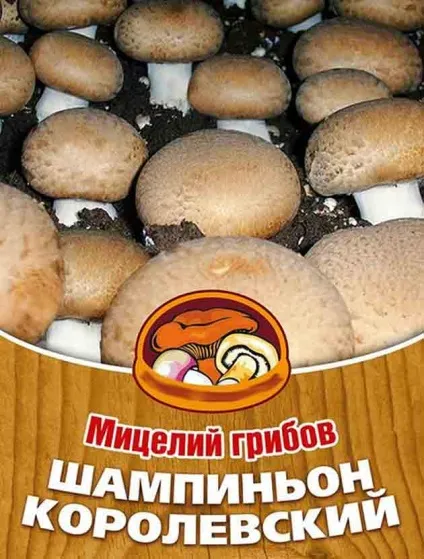Королівський печериця