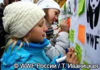 Кот, який став зірка футбольного матчу в Ліверпулі, шукає господарів (господарів) Кот, який став зірка футбольного матчу в Ліверпулі, шукає господарів
