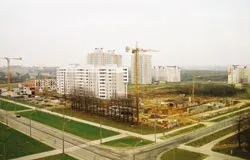 Кот майбутнє міст