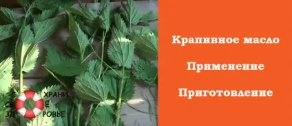 Кропив'яне масло приготування, застосування та відгуки (масло) Кропив'яне масло приготування, застосування та відгуки