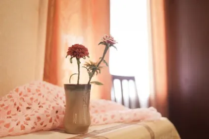 Шкіра, якій я живу (ніби в'язниці ніби мене) Шкіра, якій я живу