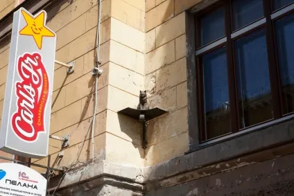 Кот єлисей і кішка Василина (єлисей) Кот єлисей і кішка Василина