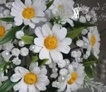 Крем, який замінить всі! Чорна перлина самоомоложеніе тональний крем ст комплексний догляд 9 в 1 (перли) Крем, який замінить всі! Чорна перлина самоомоложеніе тональний крем ст комплексний догляд 9 в 1