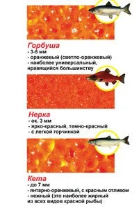 Червона ікра для годуючих матерів (ікра) Червона ікра для годуючих матерів