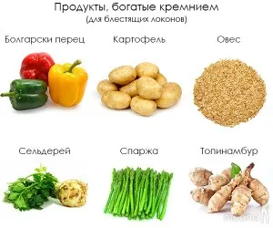 Кремній для організму людини роль, норма, надлишок (роль) Кремній для організму людини роль, норма, надлишок